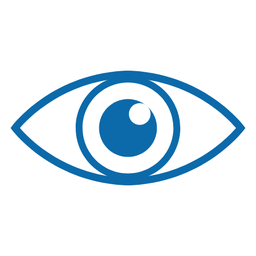 Eye Movements