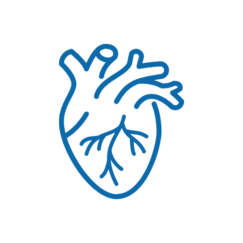 Heart Activity